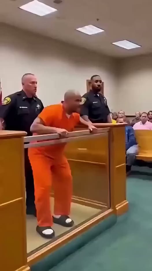 Man Attacks Judge After She Sentences Him to 456… see more