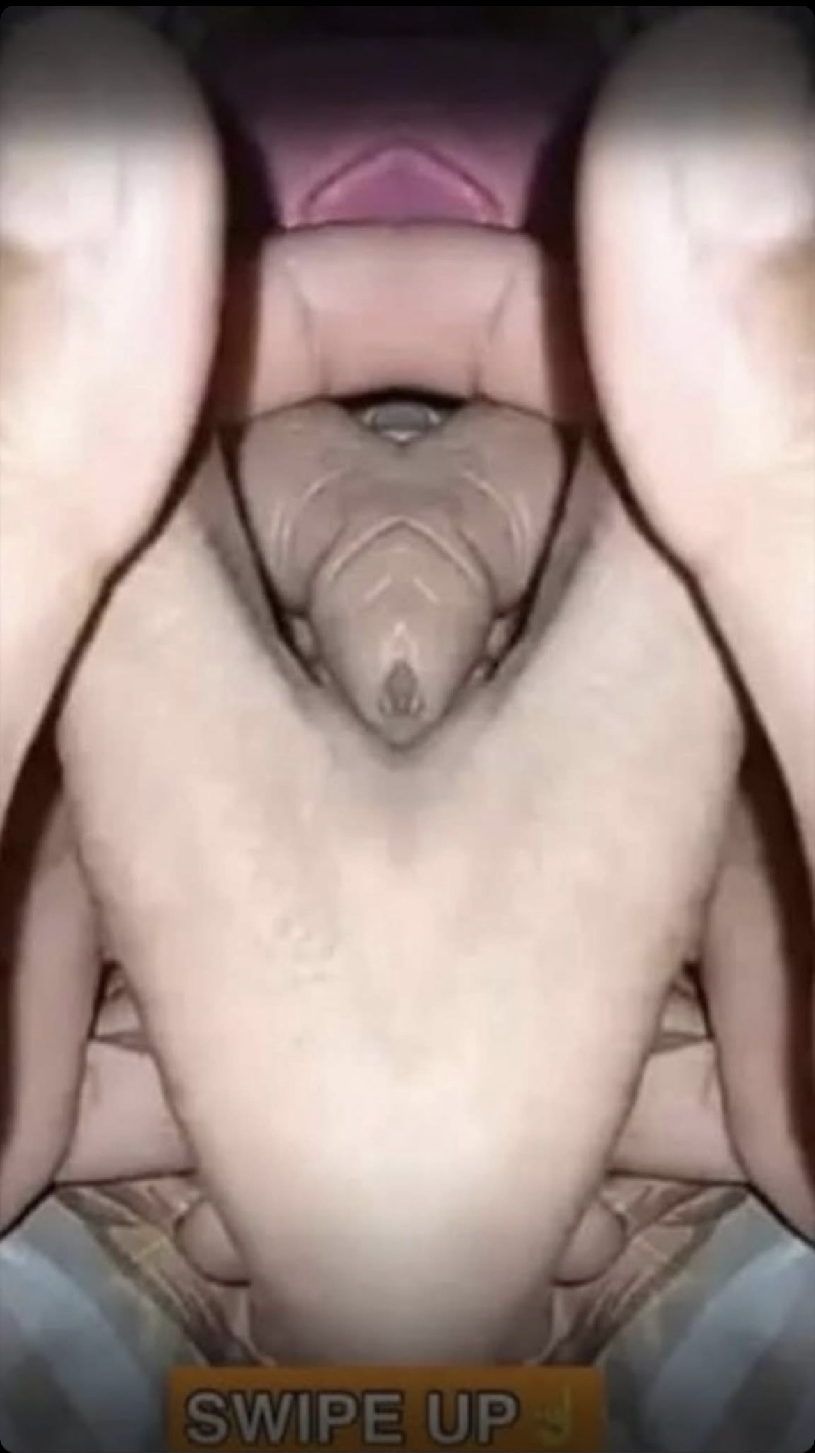Innocent Photos That Prove How Easily the Mind Can Be Fooled